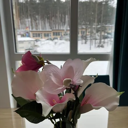 Blago Zlatibora Apartment
