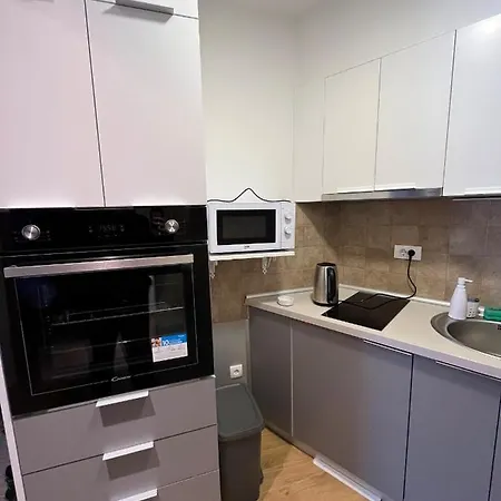 Blago Zlatibora Apartment
