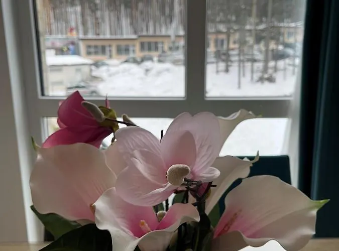 Blago Zlatibora 公寓