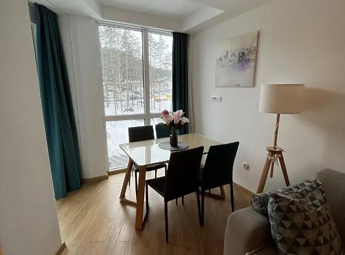 Blago Zlatibora 公寓 *